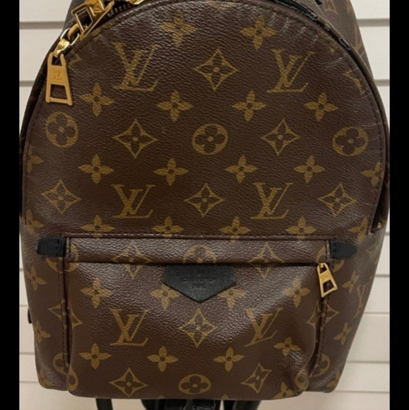 Louis Vuitton Palm Springs PM - Picture 12 of 13